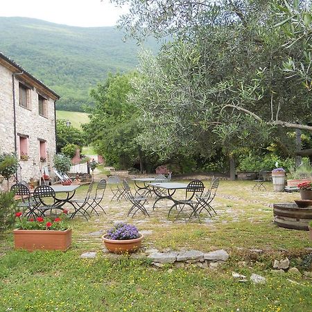 Il Giardino Degli Ulivi Villa Castelraimondo Exterior photo